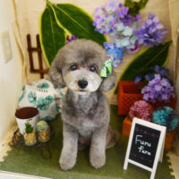 【本店】2021年6月13日のワンちゃん達♪