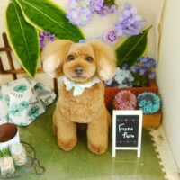 【本店】2021年6月28日のワンちゃん達♪