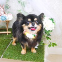 【山手店】2021年6月24日のワンちゃん達♪