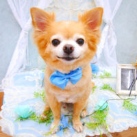 【池下店】2021年6月17日のワンちゃん達♪