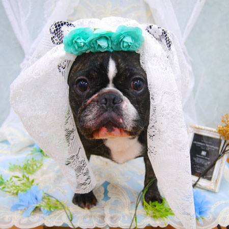 【池下店】2021年6月20日のワンちゃん達♪