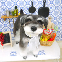 【山手店】2021年7月2日のワンちゃん達♪