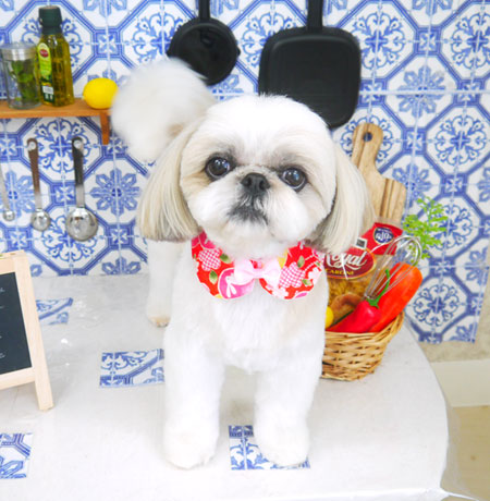 【山手店】2021年7月3日のワンちゃん達♪