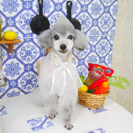 【山手店】2021年7月8日のワンちゃん達♪