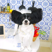 【山手店】2021年7月10日のワンちゃん達♪