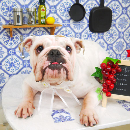 【山手店】2021年7月12日のワンちゃん達♪