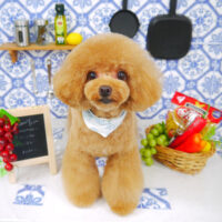 【山手店】2021年7月15日のワンちゃん達♪