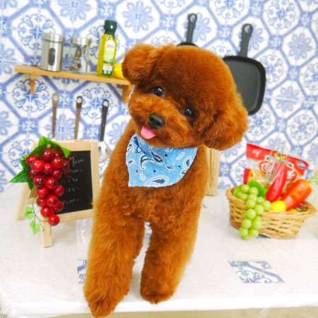 【山手店】2021年7月16日のワンちゃん達♪