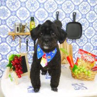 【山手店】2021年7月19日のワンちゃん達♪