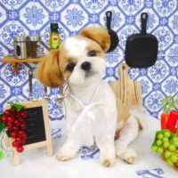 【山手店】2021年7月23日のワンちゃん達♪