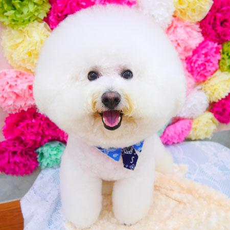 【池下店】2021年7月10日のワンちゃん達♪