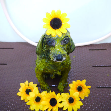 【本店】2021年8月13日のワンちゃん達♪