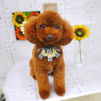 【山手店】2021年8月19日のワンちゃん達♪