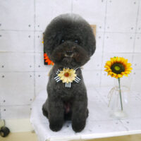 【山手店】2021年8月26日のワンちゃん達♪