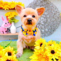 【池下店】2021年8月26日のワンちゃん達♪