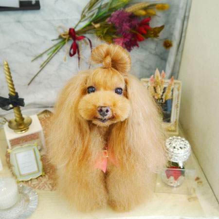 【本店】2021年9月6日のワンちゃん達♪