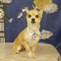 【山手店】2021年9月4日のワンちゃん達♪