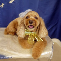 【山手店】2021年9月5日のワンちゃん達♪