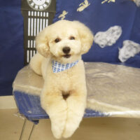 【山手店】2021年9月9日のワンちゃん達♪