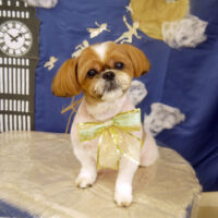 【山手店】2021年9月12日のワンちゃん達♪