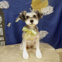 【山手店】2021年9月16日のワンちゃん達♪