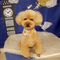 【山手店】2021年9月17日のワンちゃん達♪