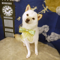 【山手店】2021年9月18日のワンちゃん達♪