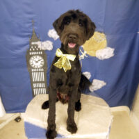 【山手店】2021年9月20日のワンちゃん達♪