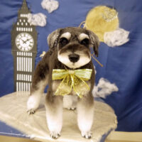 【山手店】2021年9月24日のワンちゃん達♪