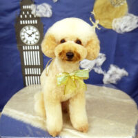 【山手店】2021年9月25日のワンちゃん達♪