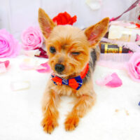 【池下店】2021年9月3日のワンちゃん達♪