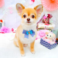 【池下店】2021年9月10日のワンちゃん達♪