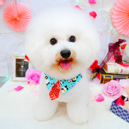 【池下店】2021年9月16日のワンちゃん達♪