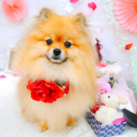 【池下店】2021年9月24日のワンちゃん達♪