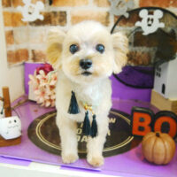 【本店】2021年10月22日のワンちゃん達♪