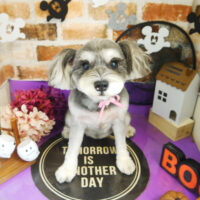 【本店】2021年10月25日のワンちゃん達♪