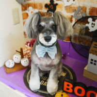 【本店】2021年10月31日のワンちゃん達♪