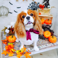 【山手店】2021年10月18日のワンちゃん達♪