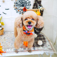 【山手店】2021年10月25日のワンちゃん達♪