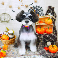 【山手店】2021年10月27日のワンちゃん達♪