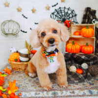 【山手店】2021年10月30日のワンちゃん達♪