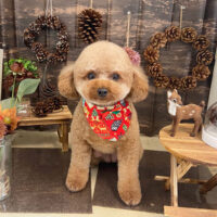 【本店】2021年11月25日のワンちゃん達♪