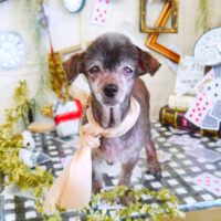 【山手店】2021年11月12日のワンちゃん達♪