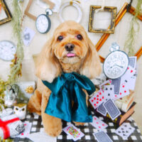 【山手店】2021年11月21日のワンちゃん達♪