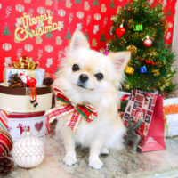 【山手店】2021年11月27日のワンちゃん達♪