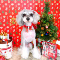 【山手店】2021年11月28日のワンちゃん達♪