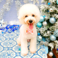 【池下店】2021年11月28日のワンちゃん達♪