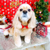 【山手店】2021年12月2日のワンちゃん達♪