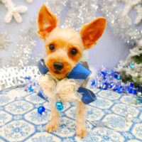 【池下店】2021年12月5日のワンちゃん達♪