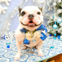 【池下店】2021年12月22日のワンちゃん達♪